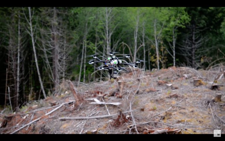 DroneSeed – เมื่อโดรนกลายเป็นเครื่องมือปลูกป่า