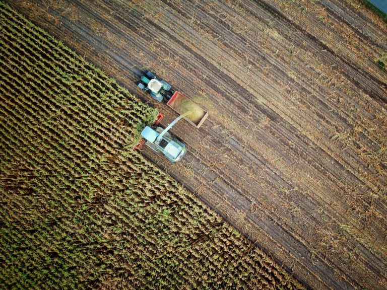 การใช้โดรนในเกษตรกรรมจะมีมูลค่ามากกว่า 5,000 ล้านเหรียญในปี 2025