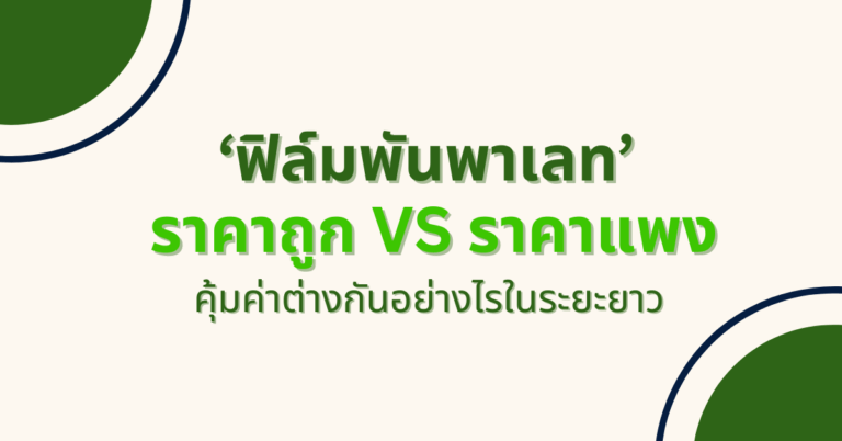 ฟิล์มพันพาเลท ราคาถูก VS ราคาแพง คุ้มค่าต่างกันอย่างไรในระยะยาว [Guest Post]